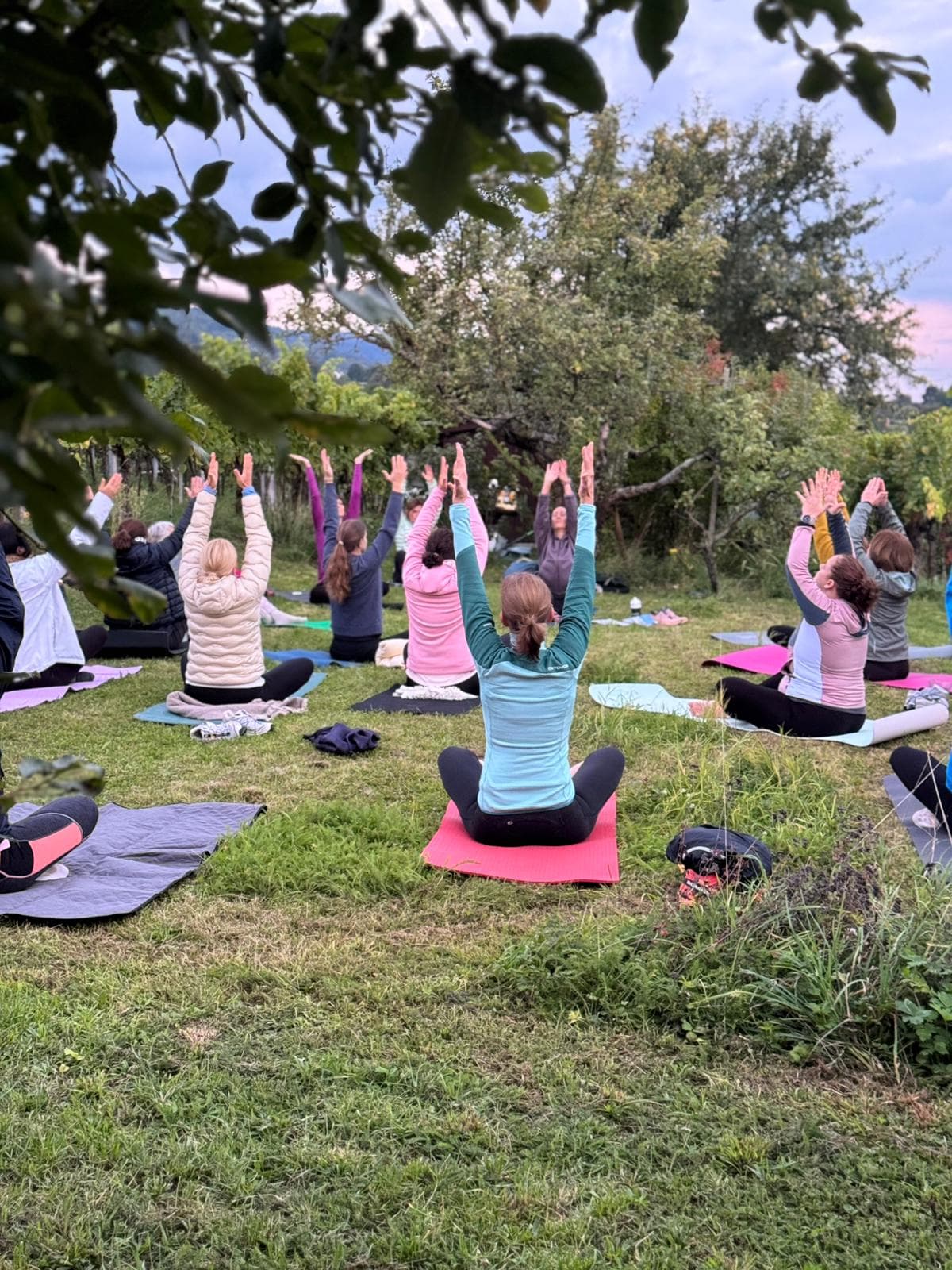 Yoga-Gruppe bei Sonnenuntergang in den Weinbergen in Schriesheim